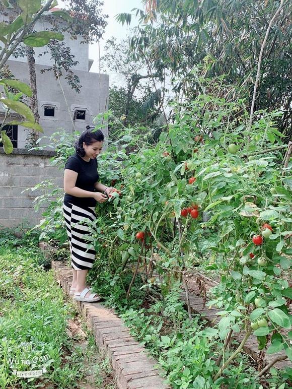 nhà sao mới 4