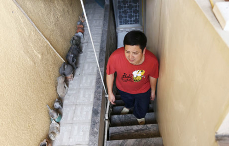 cơ ngơi của nghệ sĩ đóng Táo Quân  0
