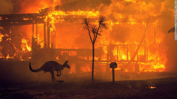 200102094458-10-australia-fires-1231-restricted-exlarge-169-1578162883073700585432-15782135000552032997365-ngoisao.vn-w620-h348 6