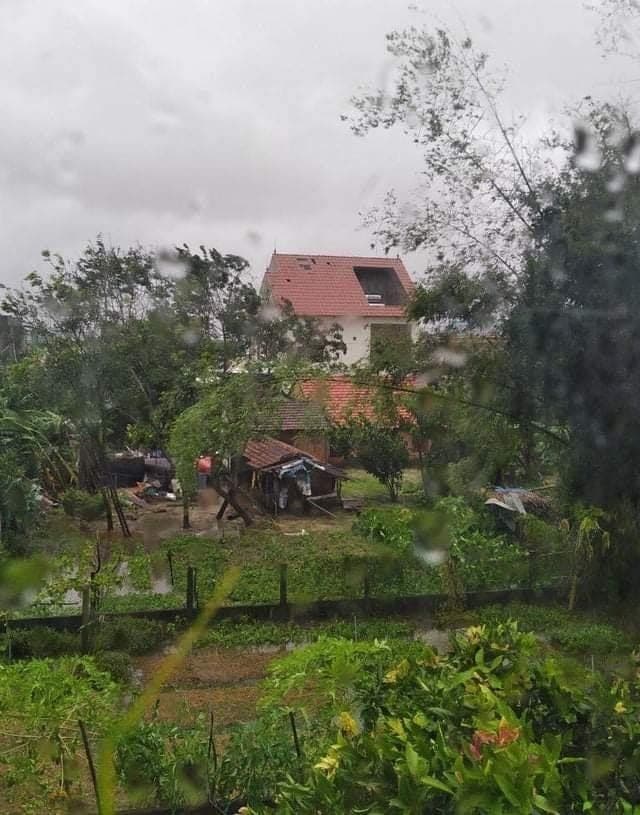 Bão ở Quảng Ngãi 5