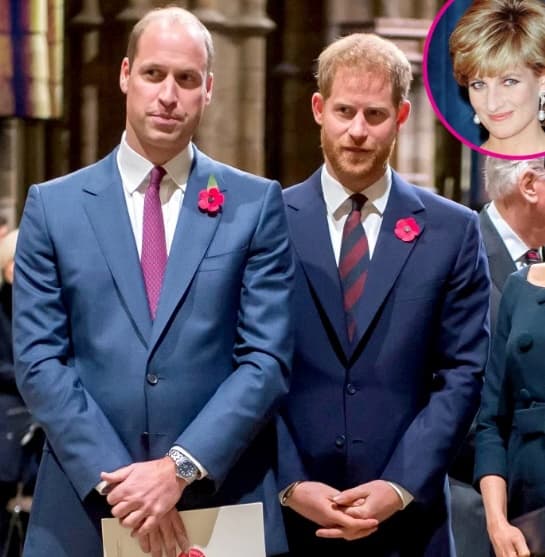 William đã 'cạch mặt' Harry suốt nhiều tháng nhưng đều 'không hẹn mà gặp' cùng làm điều này vì Công nương Diana 8
