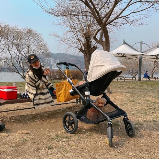 Choi Ji Woo được ngưỡng mộ khi khoe một tấm hình đã cho thấy 'đẳng cấp chăm con': Từ nữ thần Hallyu trở thành 'bà mẹ bỉm sữa' chính hiệu 3