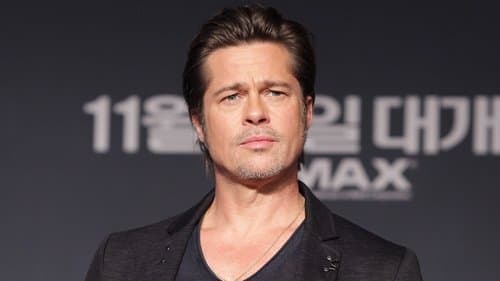 Brad Pitt đau khổ sau khi bị con trai ruồng rẫy, làm chứng chống lại mình trước tòa để 'về phe' Angelina Jolie 4