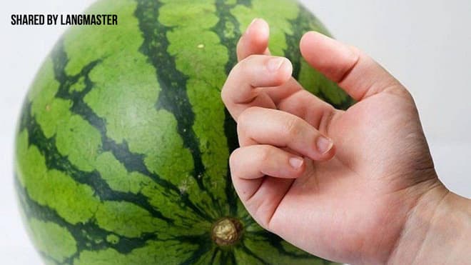 cách chọn dưa hấu ngon 6