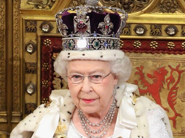 Nữ hoàng Elizabeth đau buồn sau khi thiên nga của bà chết vì bệnh cúm gia cầm 3