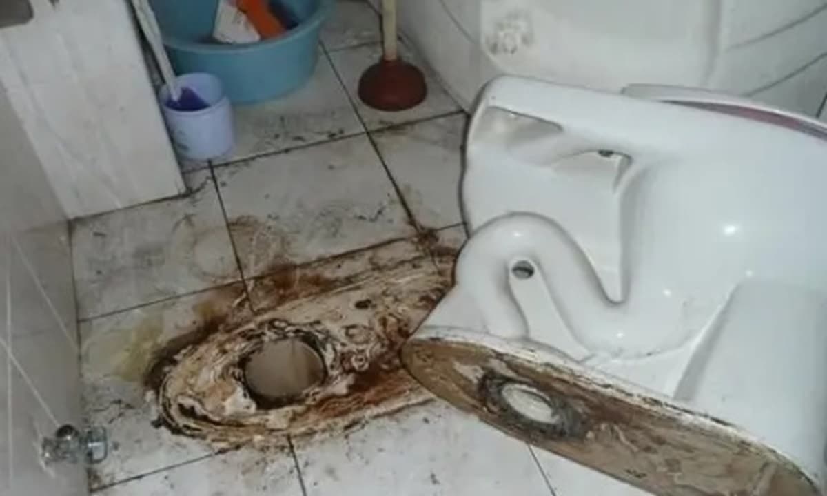 Phòng tắm có mùi khó chịu? Hoá ra '2 lỗ' trong toilet không hề bị tắc, nếu được 'làm lại' thì tốt quá