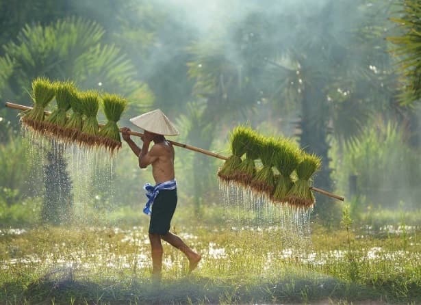 tuổi già 2