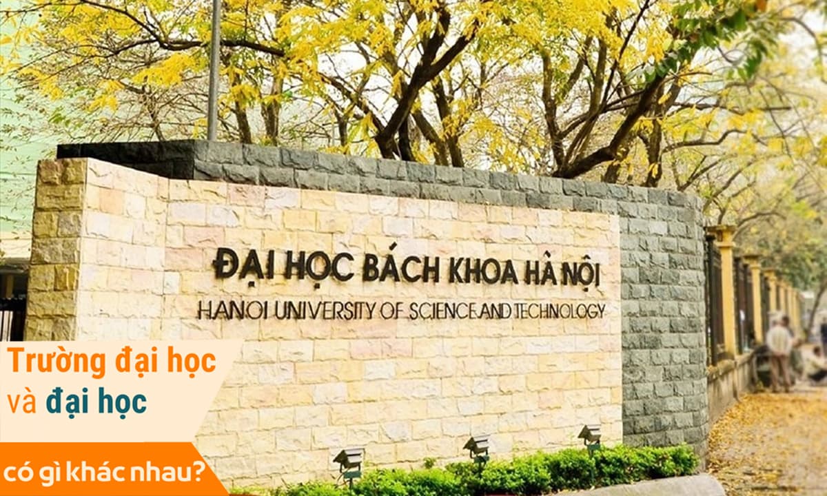 Đại học và trường đại học có giống nhau không? Ở Việt Nam có bao nhiêu đại học?