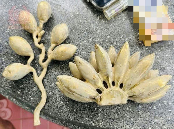 Công an cảnh báo thủ đoạn lừa đảo mới, chưa từng xuất hiện: Đối tượng đang đi đến các vùng nông thôn 0