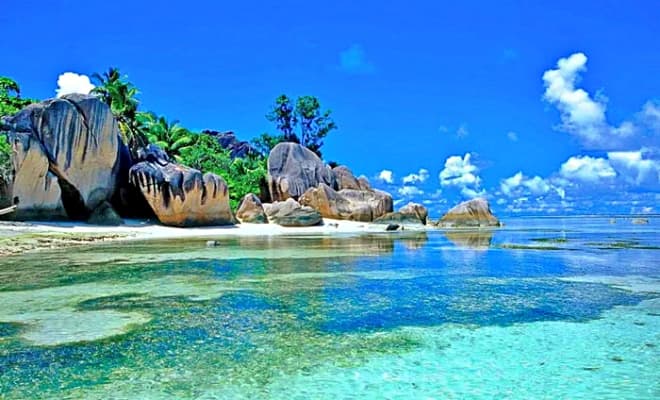 8-vinh-vinh-hy-1.jpg 2