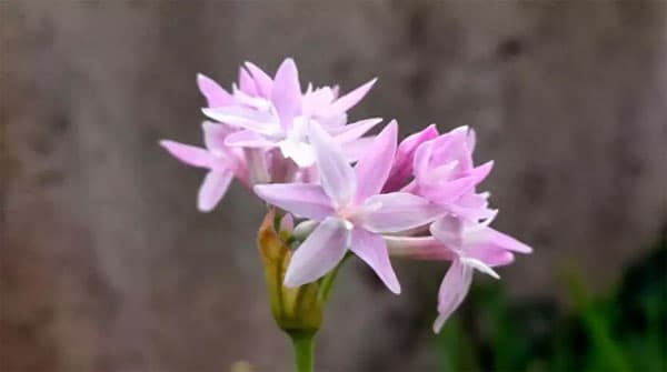Sự khác biệt lớn nhất giữa người nghèo và người giàu không phải là họ có bao nhiêu tiền, mà là 5 điểm sau