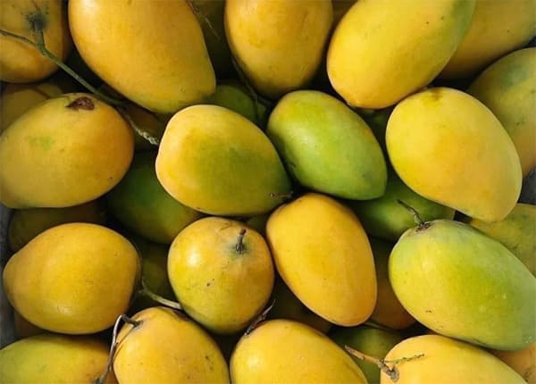 7-loai-qua-de-tam-thuoc-sau-nhat-khong-canh-giac-se-ruoc-day-hoa-chat-vao-nguoi (1).jpg 0
