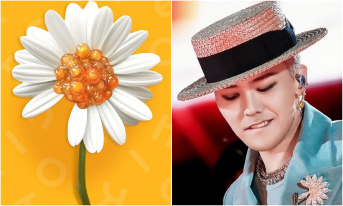 Hoa cúc thiếu cánh là gì mà gây náo động mạng xã hội?