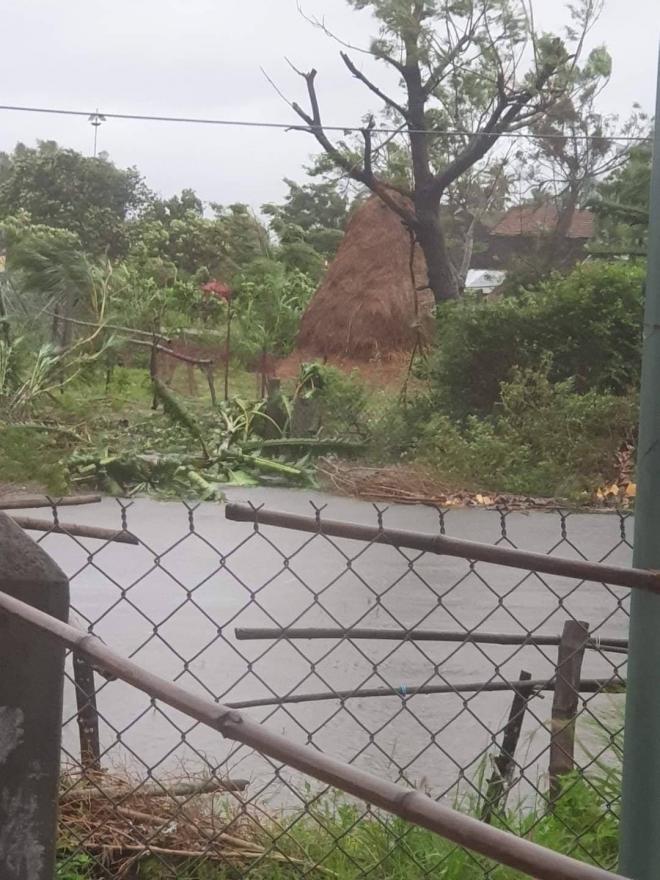 Bão ở Quảng Ngãi 3