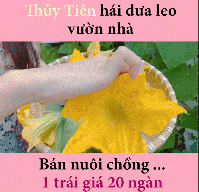 thuy-tien-5-ngoisaovn-w784-h756 0