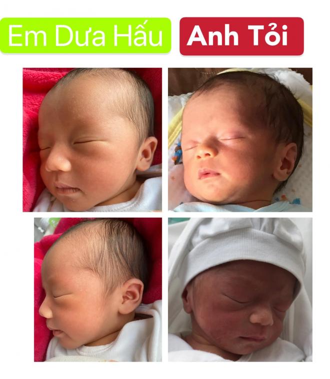 Hai con của Kỳ Hân 0