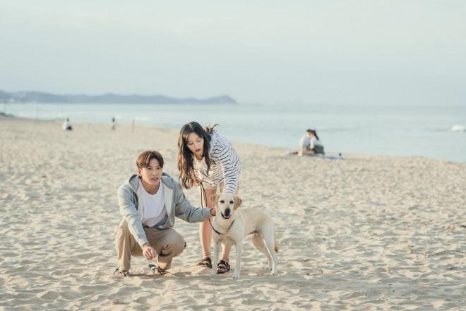 Kim Ji Won và Ji Chang Wook phim chuyện tình nơi đô thị 8