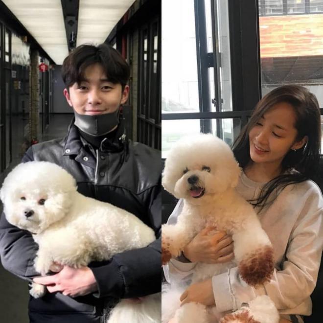 Các 'thánh soi' tìm được bằng chứng hẹn hò của 'Thư ký Kim' Park Min Young và Park Seo Joon chỉ qua một chiếc ly trên bàn 8