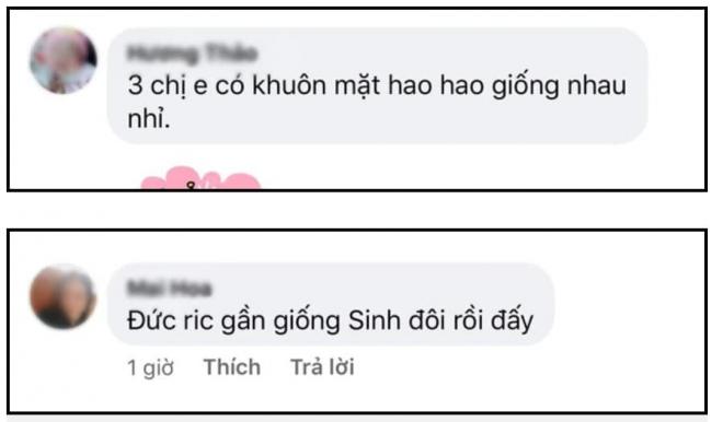 gia đình Hoa dâm bụt 1