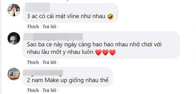 gia đình Hoa dâm bụt 4