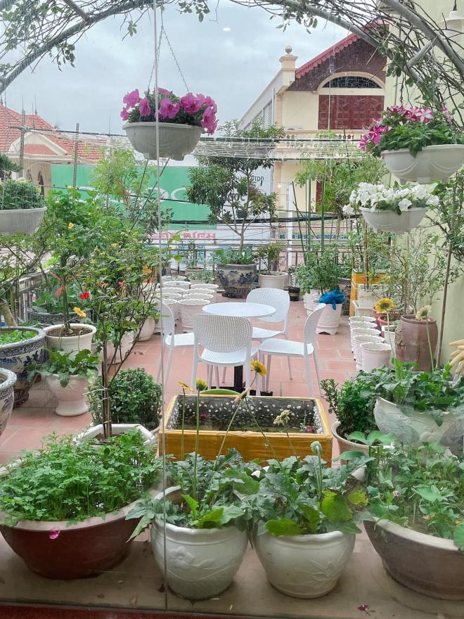 trồng cây chữa bệnh trầm cảm 0