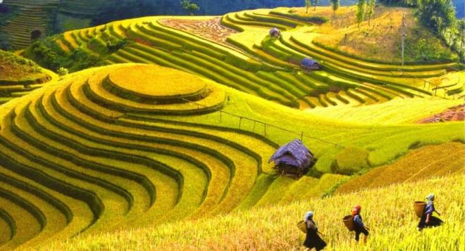 sapa-rice-fields-e14065614283730-ngoisaovn-w900-h488 0