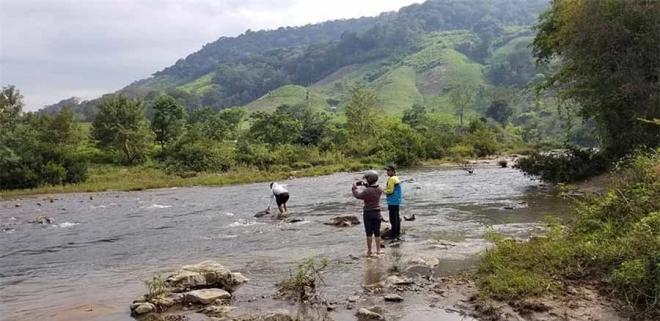 Người đàn ông từng đào được cây gỗ quý bậc nhất Việt Nam: Giá trị thực gần 6 tỷ đồng, thức trắng đêm để bảo vệ 3