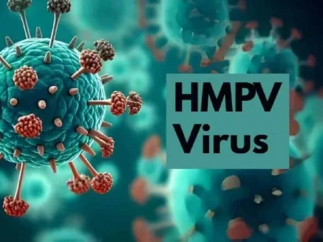 Virus HMPV 0