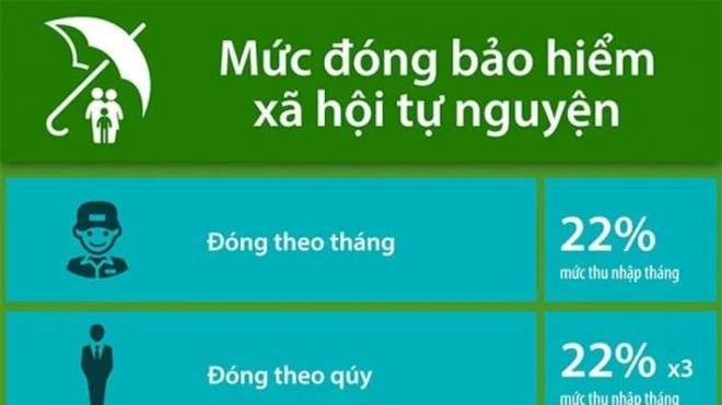 Đóng bảo hiểm xã hội tự nguyện ở đâu? Đóng theo mức lương nào thì phù hợp? 0
