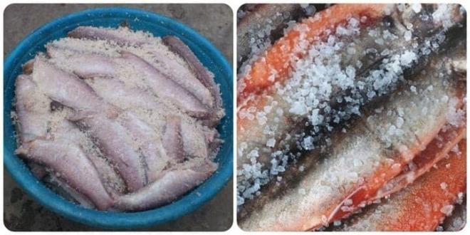 cá không nên ăn 0
