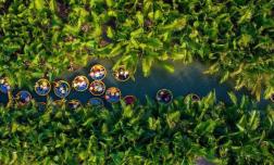 Ngôi làng duy nhất Việt Nam lọt TOP đẹp nhất thế giới, khung cảnh như tranh, ai nhìn cũng mê 