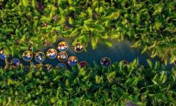 Việt Nam có một ngôi làng duy nhất lọt TOP đẹp nhất thế giới: Khung cảnh như tranh, ai nhìn cũng mê!