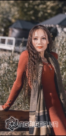 Angelina Ngô, sao việt