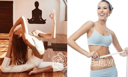 Helly Tống, Mmỹ phẩm hữu cơ Zenboté
