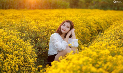 Xách balo đến Ninh Bình ngắm cánh đồng hoa cúc chi vàng rực cả một góc trời