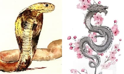 Tử vi 12 con giáp thứ 6 ngày 7/8/2020: Tuổi Tỵ gặp được quý nhân, Thìn dễ vướng rắc rối chốn quan trường Tử vi 12 con giáp thứ 6 ngày 7/8/2020: Tuổi Tỵ gặp được quý nhân, Thìn dễ vướng rắc rối chốn quan trường