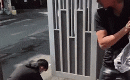 Thanh niên bê heo quay trên mâm cúng rằm rồi bỏ chạy, chủ nhà gọi với theo để đưa nước chấm 