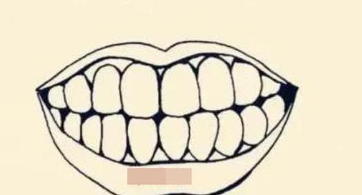 Tổng hợp 61+ về hình vẽ hàm răng hay nhất