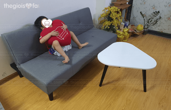 sofa giường, thế giới sofa