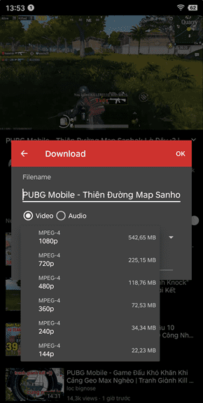Vanced Tuber, Quảng cáo Youtube