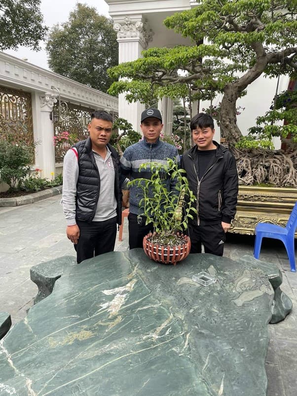 Bùi Hữu Giang, nghệ nhân trồng lan, hoa lan