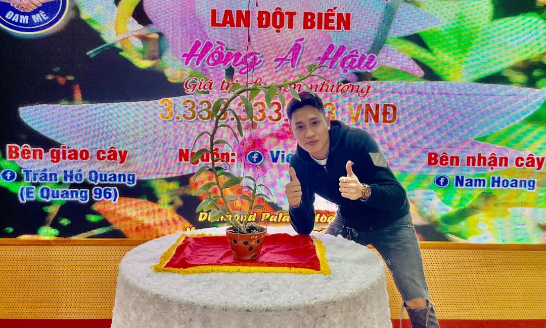 Nghệ nhân lan, Nguyễn Tùng Huy, Lan đột biến