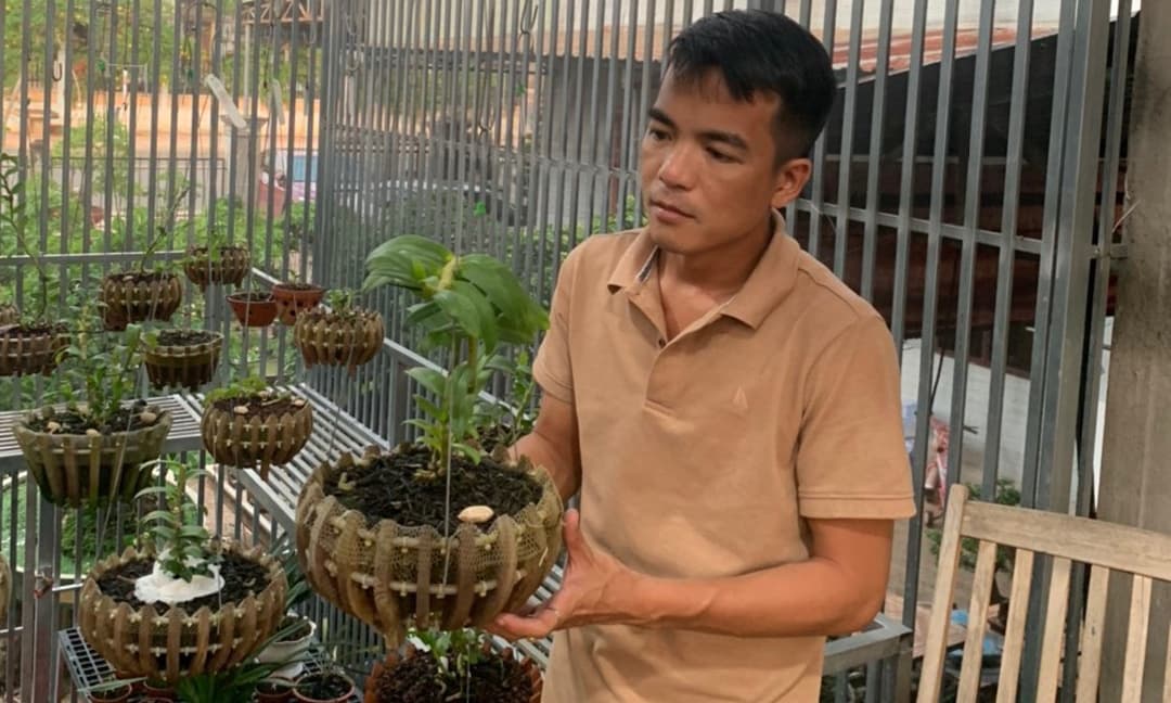 Nghệ nhân Nguyễn Duy Hair, Lan đột biến, chăm sóc hoa lan