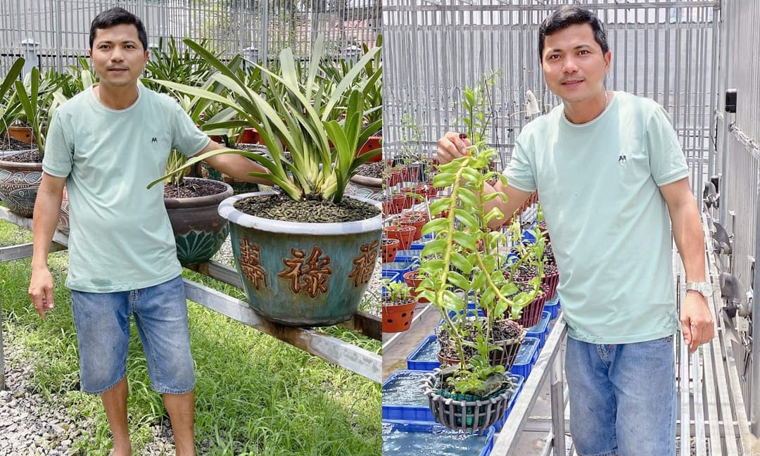 Thiếu gia họ Nguyễn, Nguyễn Tuấn Anh, Chăm sóc hoa lan