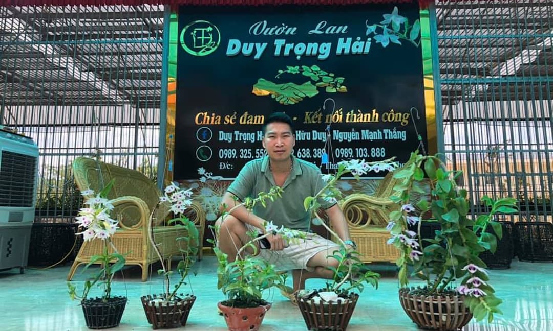 Phạm Hải Yến, chăm sóc lan, trồng lan