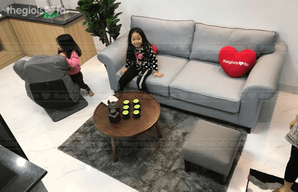 Dịch vụ vệ sinh ghế sofa, thế giới sofa, sofa nhập khẩu