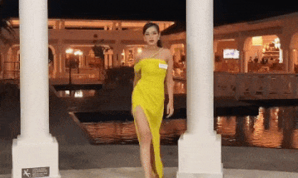 Đỗ Thị Hà, Miss World 2021, sao Việt