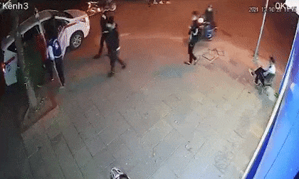 trứng cút, máy công nghiệp