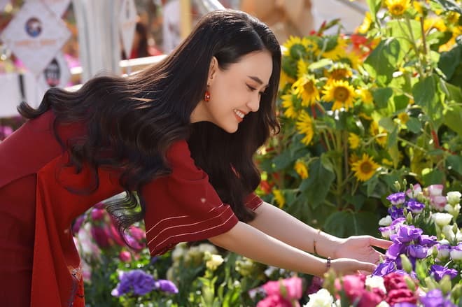 Hotgirl Hải Đan, ca sĩ Liêu Kỳ, sao việt