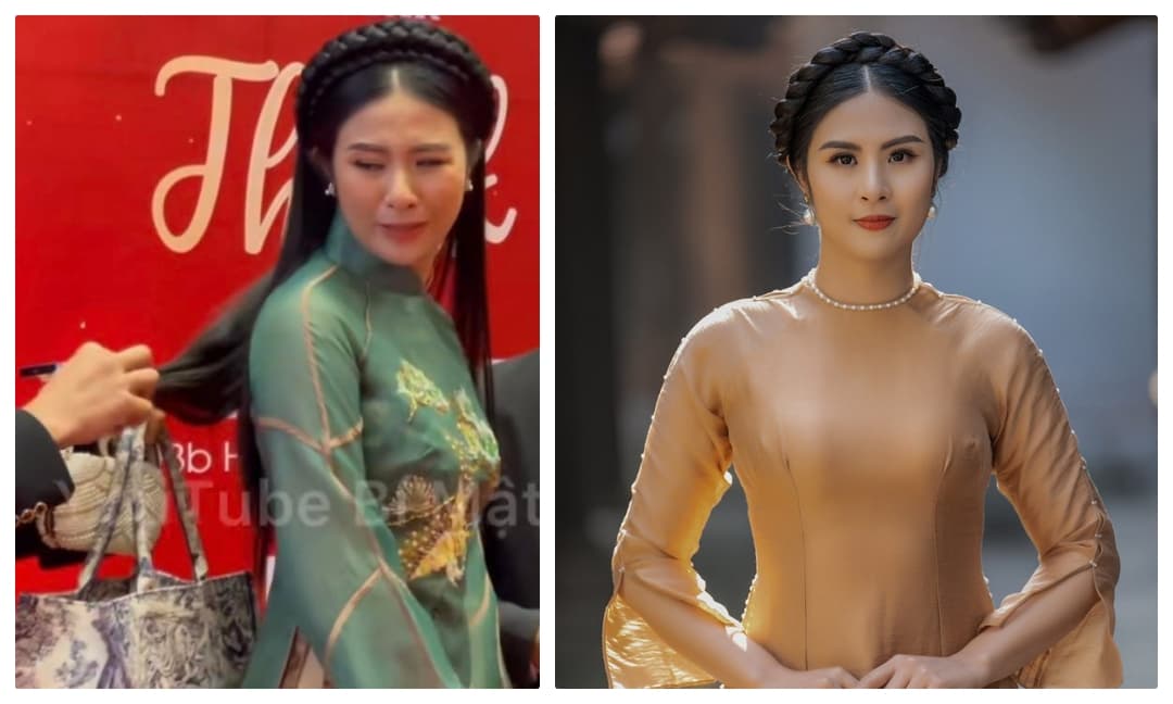 Hoa khôi Hương Hoàng, Đàm Vĩnh Hưng, sao việt